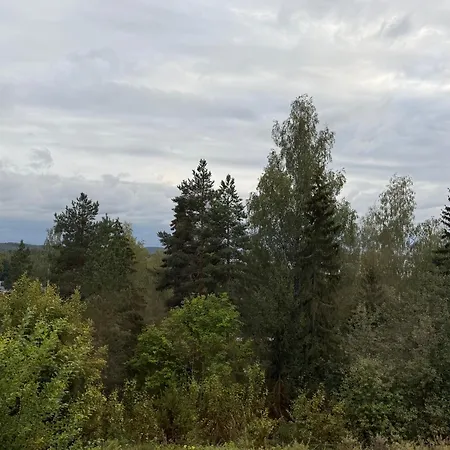 Apartamento Tallukantie Sauna-apartamentti *