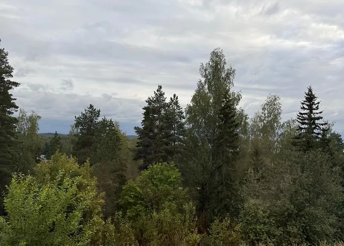 Lägenhet Tallukantie Sauna-apartamentti *